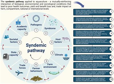 Defining and averting syndemic pathways in aquaculture: a major global food sector